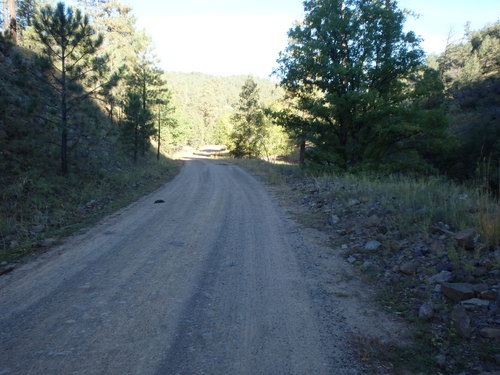 GDMBR: We're heading up a canyon. There are cows around.